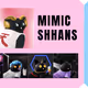 Raffle for Shhans