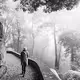 Into the Mist by Pelin Genc