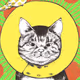 viviDanimals Ethereum