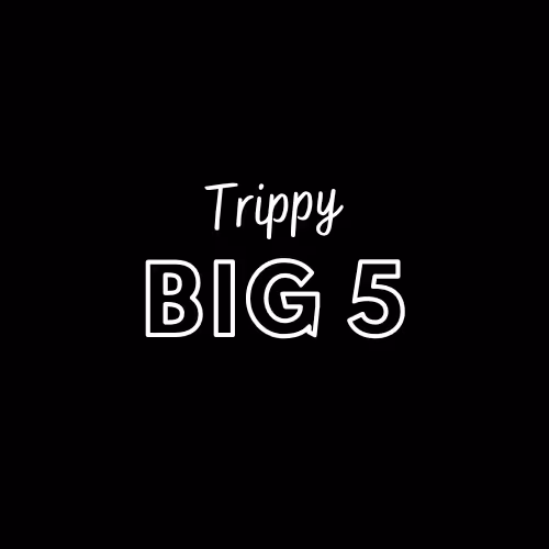 Trippy Big 5