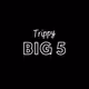 Trippy Big 5