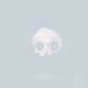 8 bits of adam archer