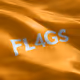 FL4GS by NFT9