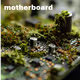 motherboard