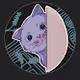 PurpleCatCoin