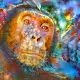 Anomaly Art - old