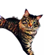 Zilder Galactagos