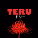 Teru Labs