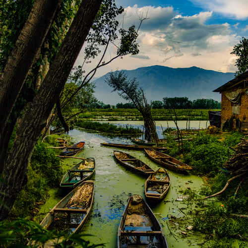 Editions By Ali Sabir