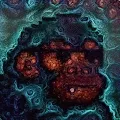 DMT Kongz