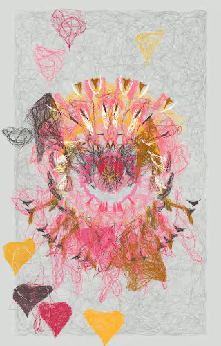 Orchids by Luke Shannon