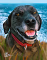 Custom Pet Portraits
