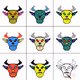 Crypto-Bulls-Collection