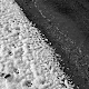 Birds of Snowy Istanbul II