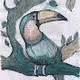 Beautiful birds series