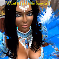 EJ Gold Video Collection