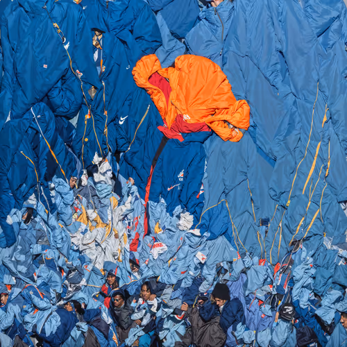 Synthetic Bloom by 0009