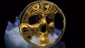 The Skull Collection by Amy Karle