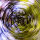 Tree Rings