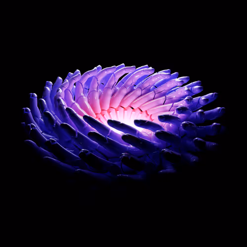 Holders special editions