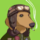 Funny_Doxie - old V2