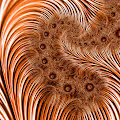 On Fractal