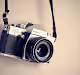 Nature Photographyq