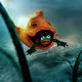 An Emotional Fish