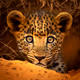 Awe Inspiring Animals