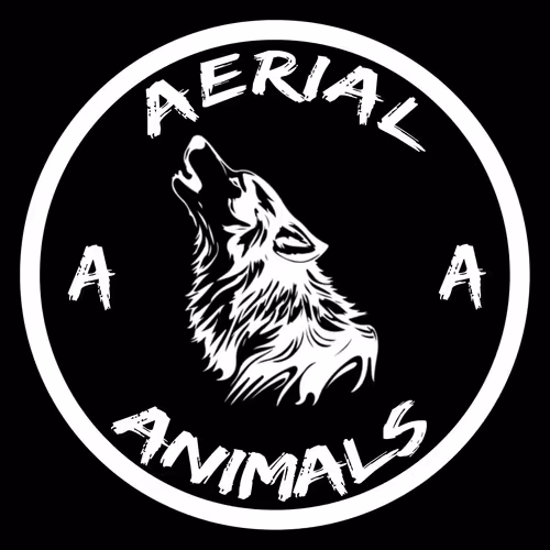 Aerial Animals