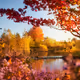 Fall Diaries - old