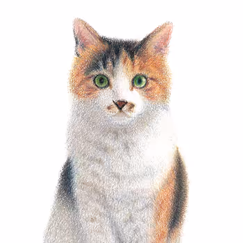 Jaewook_NFT: Colored Pencil Drawing