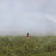 A Woman in the Mist by Ayla El-Moussa