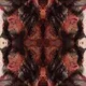 +DREAM PATTERNS+