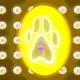 Polygon Pets
