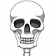 TheCryptoSkeleton