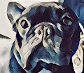 House of Bulldogs
