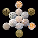 13 MOONS