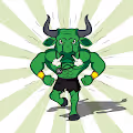 RUN BULLS