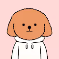 Cool Poodles