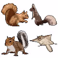 PixelSquirrels