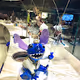 Captain Stitch