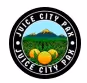 Juice City Pax