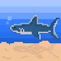 PixSea