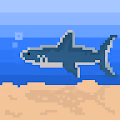 PixSea