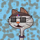 OHP CATS