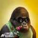 Social Kongs