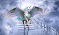 Unicorns Limited Edition