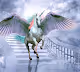 Unicorns Limited Edition