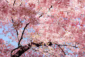 Test - LIXH7Bn0G2